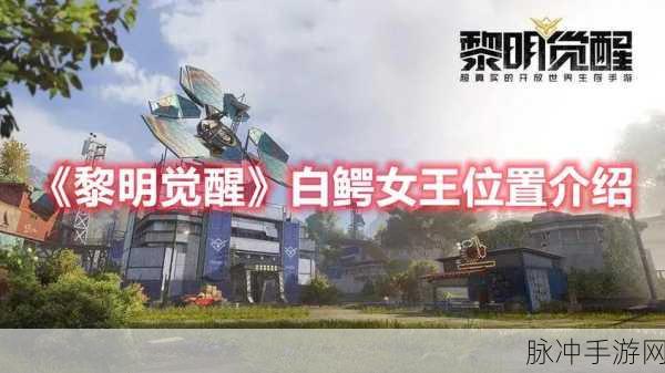 黎明觉醒，探寻白鳄女王的神秘所在