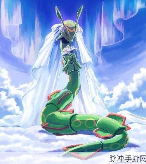 口袋妖怪宿命的轮回深度攻略，探索与征服的奇妙之旅