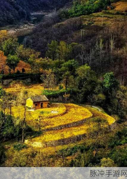 vicineko莫娜大战qq人，手游攻略与观赏指南