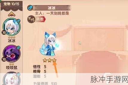 造梦无双手游，提升宠物捕捉几率的全面攻略