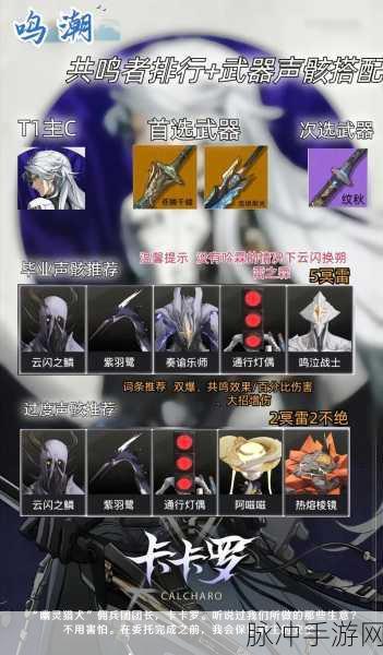 鸣潮手游散华声骸的完美搭配秘籍