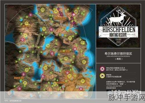冒险与召唤，深度解析狩猎玩法全攻略