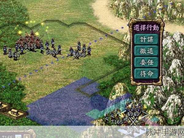 三国志 8 掠夺行为的潜在风险与不良影响