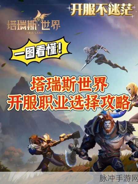塔瑞斯世界职业选择指南，探索多样角色魅力