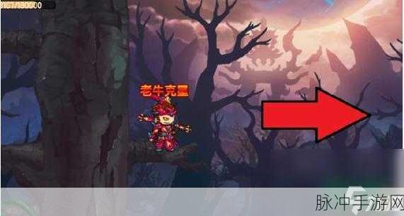 探寻造梦无双隐藏关卡的神秘所在
