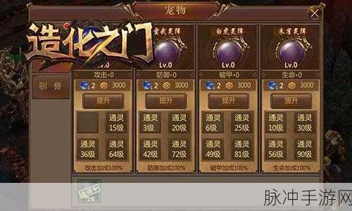 造化之门宠物系统深度解析，打造你的专属战斗伙伴