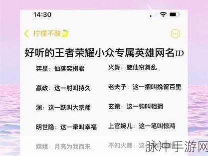 王者荣耀，精选男生三字网名与游戏攻略指南