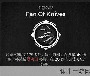 遗迹灰烬重生流浪者武器装配深度解析