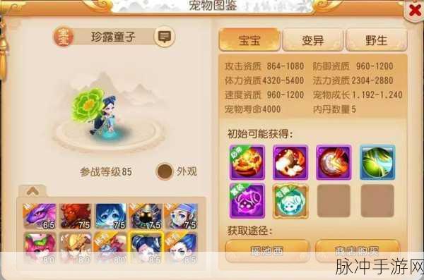 梦幻西游手游宠物推荐，打造你的得力伙伴