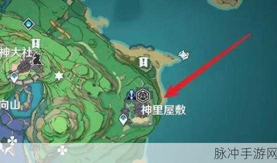 原神化种匣获取攻略，详细方法与使用指南