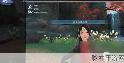 新笑傲江湖手游攻略，云绣娘奇遇详解与魅力染色需求