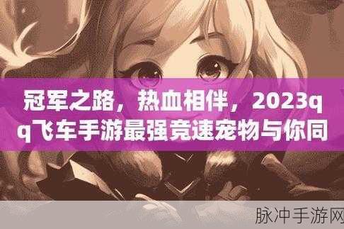 QQ飞车手游竞速宠物排行榜2023，全面解析与推荐