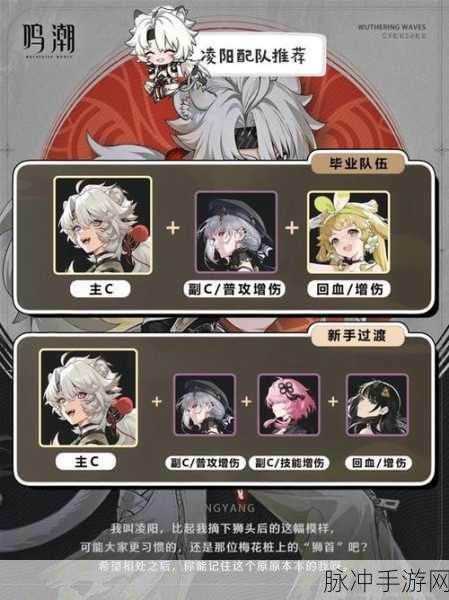 鸣潮手游凌阳角色武器搭配深度攻略