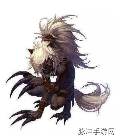 DNF手游刷猫妖卡片攻略，高效地图与策略详解