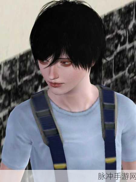 模拟人生3，大学生活游戏深度介绍与攻略指南