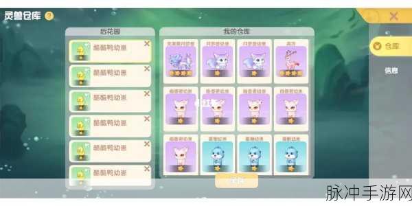 摩尔庄园手游，灵兽喂养秘籍全解析