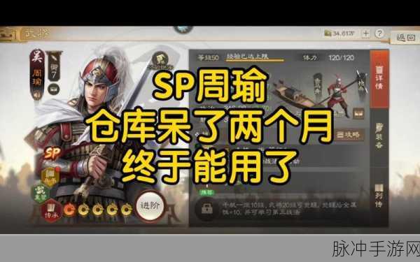 三国志战棋版，周瑜强度全方位剖析