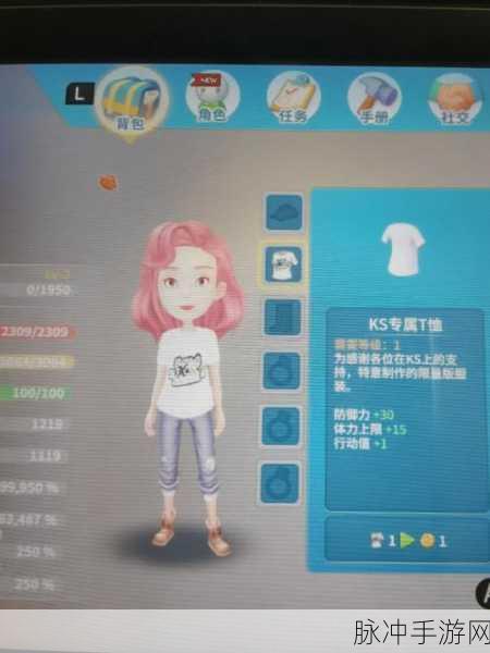 波西亚时光手游攻略，搅拌机与肥肉的获取详解