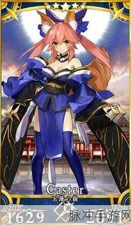 FATE手游攻略，探索特殊职阶中的强大英灵