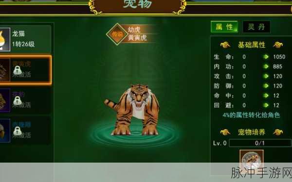 冒险岛神兵传奇无敌版，宠物攻略全解析