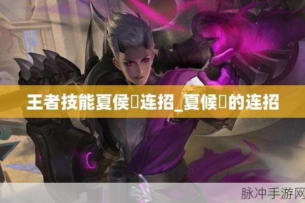 王者荣耀，夏侯惇连招秘籍大公开
