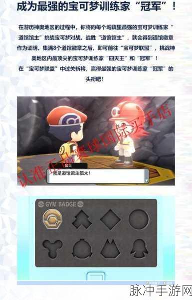 口袋妖怪 NS 训练师勇闯大冒险副本指南