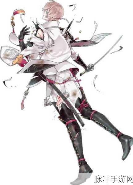 刀剑乱舞系列全新攻略，龟甲贞宗公式详解与属性图鉴全解析！