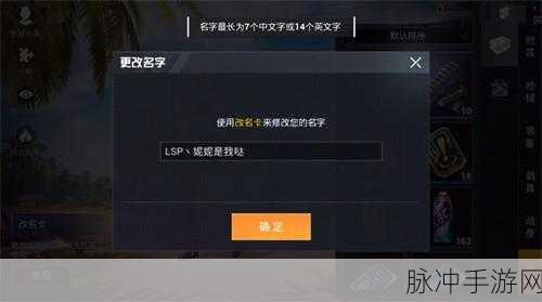 2024 和平精英改名秘籍大公开