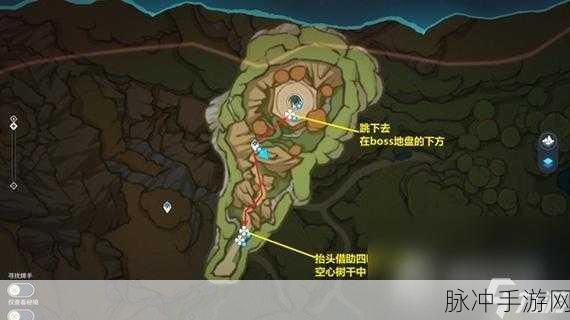 原神，探寻树王圣体菇的最佳采集路线与位置
