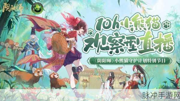 阴阳师小熊猫大挑战活动全解析