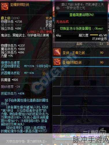 DNF圣耀服务体系详解，提升游戏体验的全方位指南