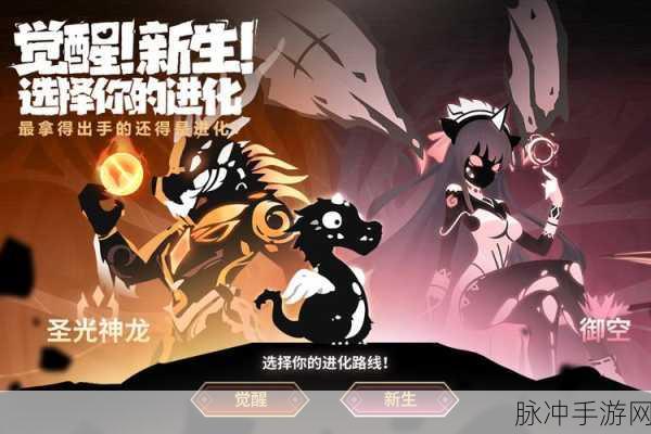 超进化物语纹章深度解析，解锁角色潜能的关键