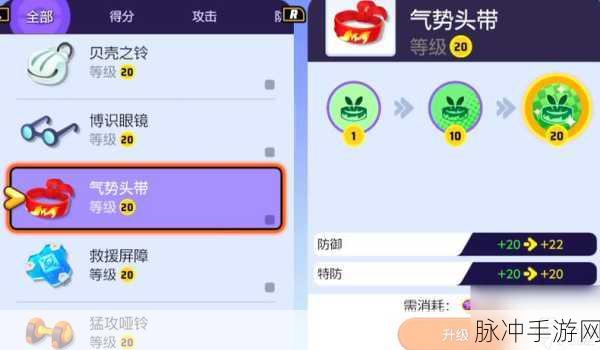 宝可梦大集结辅助型宝可梦道具携带及升级深度攻略