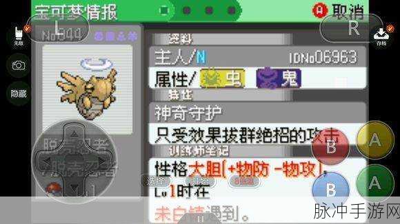 口袋妖怪银版图文攻略，详尽指南助你征服冒险之旅