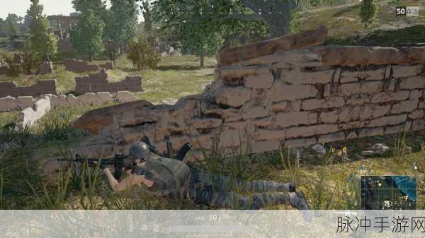 绝地求生手游新展望，玩家呼吁增加爬树功能，开发视角的深度剖析