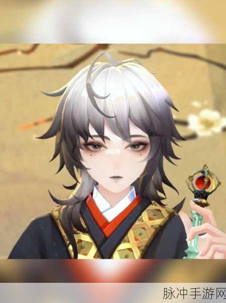 阴阳师手游攻略，禅心云外镜雪融镜初皮肤获取全解析