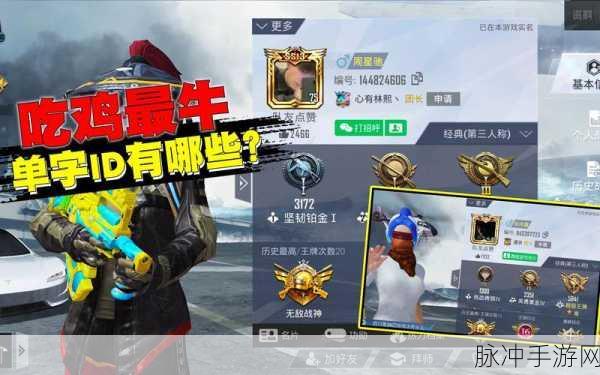 和平精英，探索那些鲜为人知的单字ID宝藏