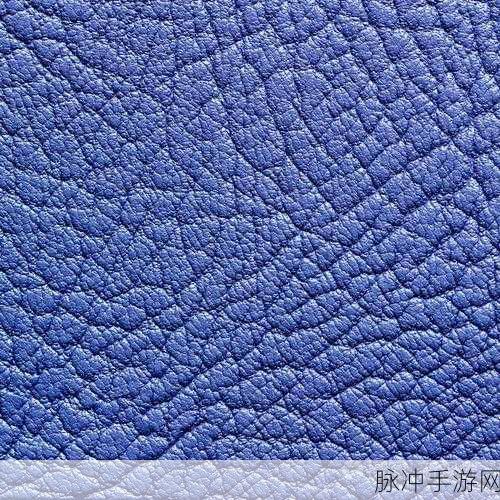 波西亚时光深度攻略，搅拌机获取与蓝色皮革探寻之旅