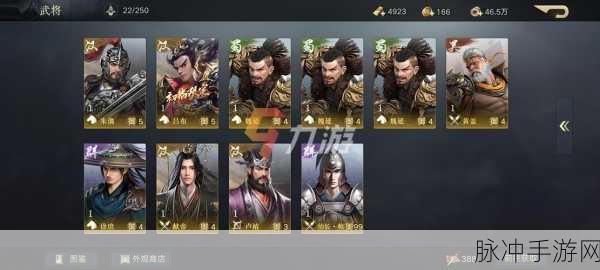 荣耀新三国，魏延阵容与宝物搭配的深度指南
