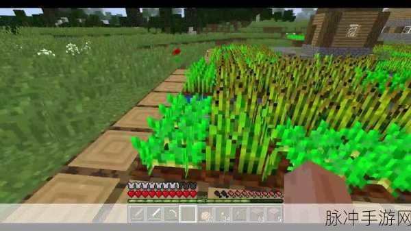 我的世界生存模式飞行技巧全解析