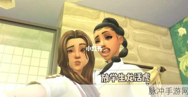 解析模拟人生 4 无法上高中之谜