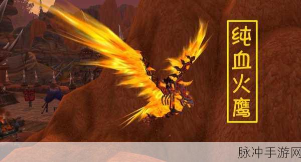 魔兽世界纯血火鹰获取全攻略