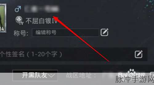和平精英改名字全攻略，详解修改名字的方法