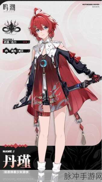 鸣潮丹瑾，高效配队策略与深度解析