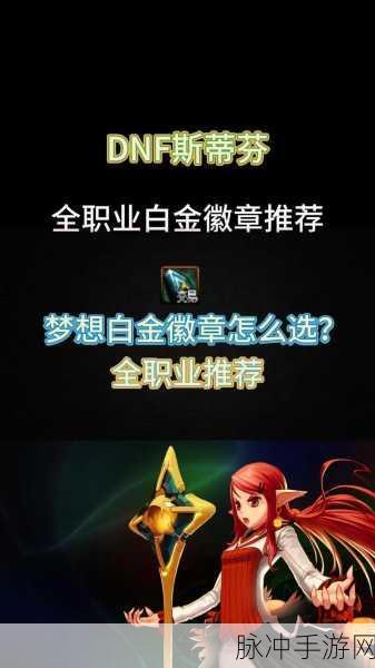 DNF 手游白金徽章精选指南，助你实力飙升