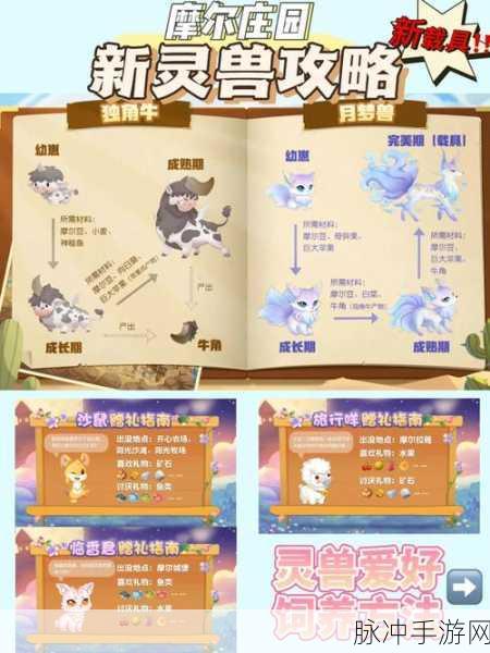 摩尔庄园手游鸭子饲养全攻略，解锁乐趣，收获满满鸭蛋