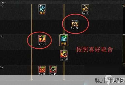 DNF手游攻略，大枪职业白金徽章选择指南