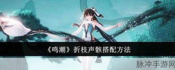 鸣潮折枝声骸选择攻略，技能进阶全解析