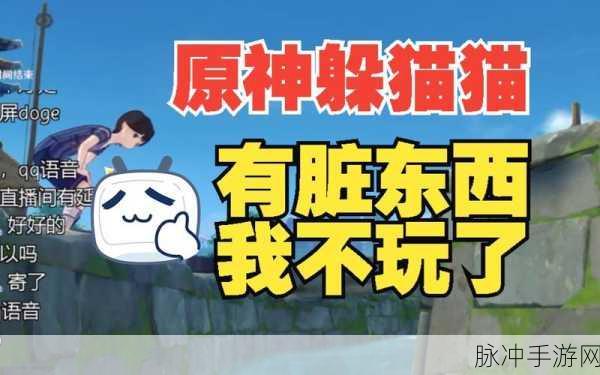 原神躲猫猫胜利攻略，掌握技巧，成为最终的赢家