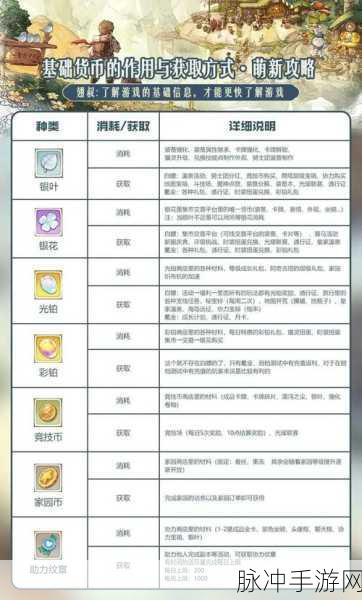 森之国度装备鉴定攻略与实力提升技巧详解
